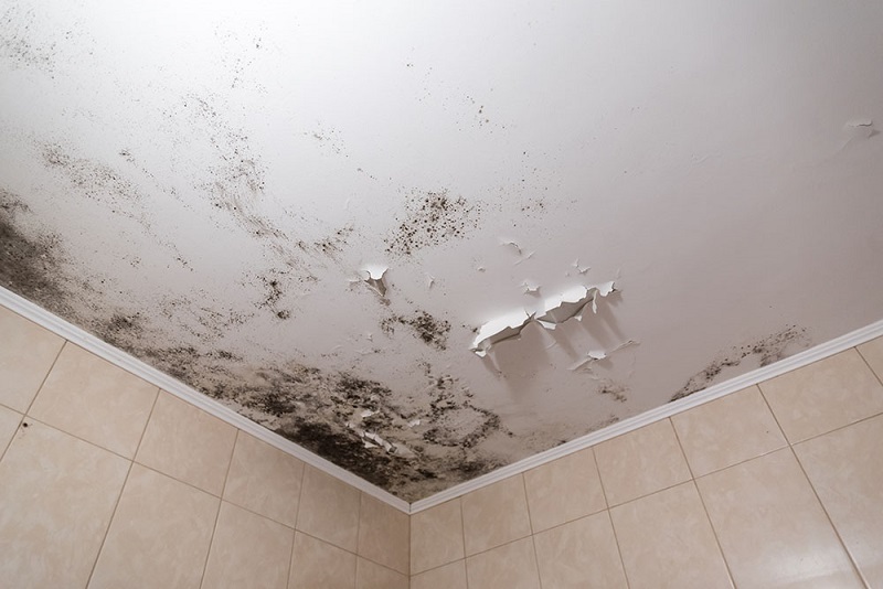 Installing a false ceiling in a wet space