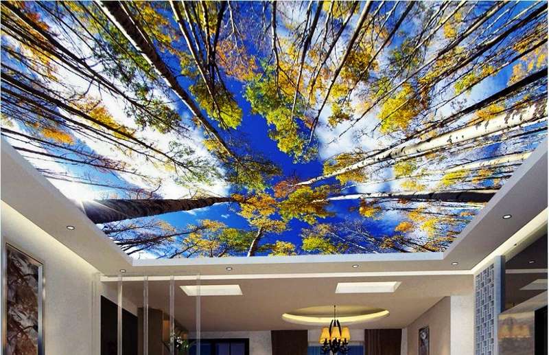 Kitchen false ceiling