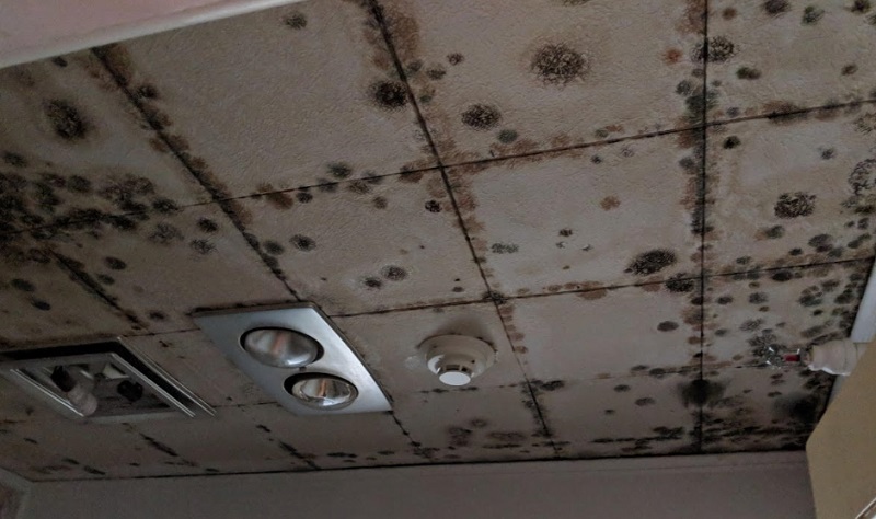 Installing a false ceiling in a wet space